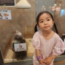 (주)제일팜 이미지