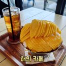 장안웃길 | 평택 송탄 빙수 맛집 해인카페 애플망고빙수 내돈내산 솔직 후기