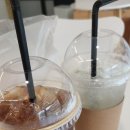 뽀도독 애견카페 이미지