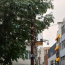 평화인쇄사 - 수원시 장안구 | 평화인쇄사