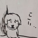 해밍 이미지