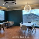 티가렛바이지노 이미지