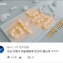 주야농장 이미지