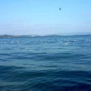 산너머 민박 이미지