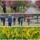 제308차 산행기(230415-하남 미사리 경정공원) 이미지