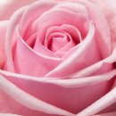 행정사 다인 이미지