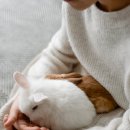 서동 동물메디컬센터 이미지