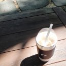모호커피로스터스 이미지
