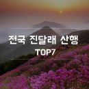 전국 진달래 산행 TOP 7 이미지