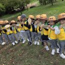 초록샘어린이집 이미지