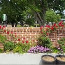 땅끝해오름민박 이미지