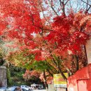 상천테마공원(주차장) 이미지