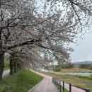 하동약국 | 서울역 차병원 시험관 3차 동결 이식 전까지의 진료 후기(변형자연주기, 4.1, 4.9, 4.11.)