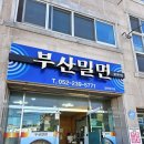 서생밀면 | 울산 온양읍 동네맛집 부산밀면 내돈내산 후기