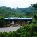 법산농장 Daum카페