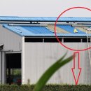 남성축사 이미지