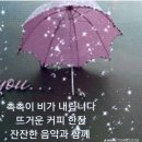 아리스토텔레스는 일찍히. ^^ 이미지