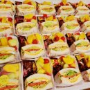 휴먼플러스 이미지