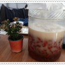 보리수 산장 이미지