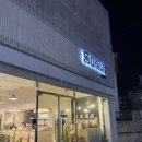 📚 속초 동아서점 방문기｜크리스마스 감성이 머무는 동네 책방