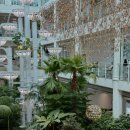 츄카롱&츄로아상(수원점) | 용인 포레스트아웃팅스 신상 대형카페 내돈내산 후기