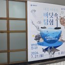 양천문화회관 | 서울 양천구 신정동 양천문화회관 전시관에세 여름 이야기 바닷속 탐험을 관람했습니다.