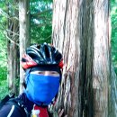 고남농장 이미지