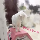 꾸뚜