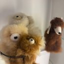 영국세차장 | 새벽요가수련, 스타벅스 조찬모임, 고구마 선물, 빼빼로데이 선물 사는 등등의 해피올 일상