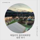 아셀아셀한마켓 | 녹여버린 감성 끝판왕! 아이들과 함께가기 좋은 해밀리아 셀프바베큐장에서 애견동반 신년고기파티 후기