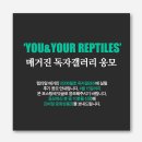 렙타일갤러리
