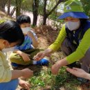 오음초등학교 이미지