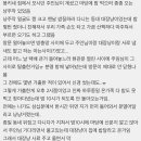 고양이 가출했을 때 대장 고양이에게 찾아달라한 썰 이미지