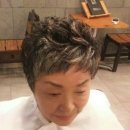 마르헤어 이미지