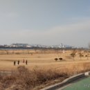 목행생활체육공원 이미지