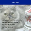 영등포 동물병원 이미지