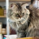 DSLR 취미반 이미지