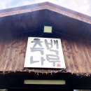 측백장어 이미지