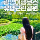 백운산 텃골 팬션 네이버블로그