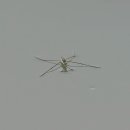 소금장이 이미지