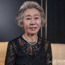 도그엔터