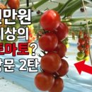 천만농장2 이미지