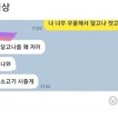 노노 이미지