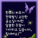 즐거운 이미지
