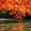 송천리 경로당 이미지