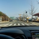 오리팔구 이미지