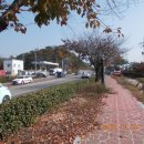 송천현대주유소 이미지