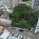 장림2동-2 이미지