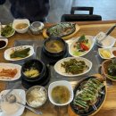 천지연무태장어천지연 이미지