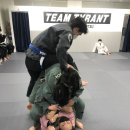 공명 유도 주짓수 이미지